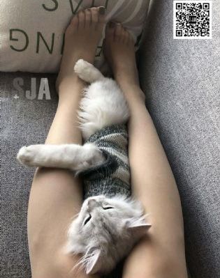 免费大黄网站在线观_1080神马影院在线